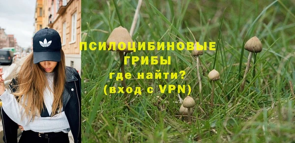 Альфа ПВП Дмитров