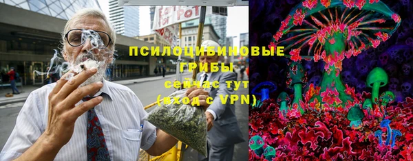 ешки Дмитриев