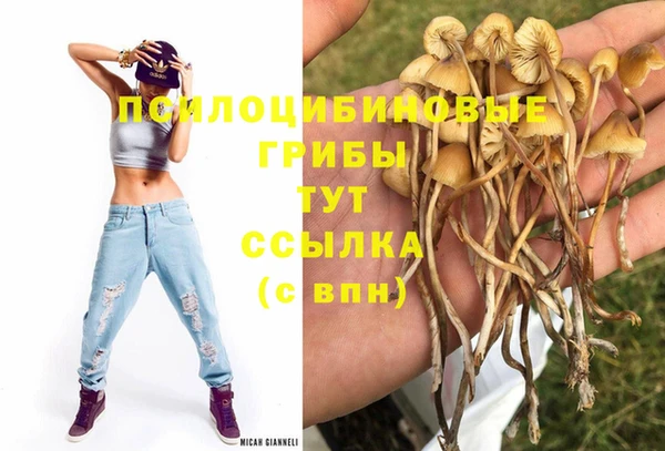 амфетамин Дмитровск