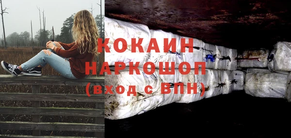 ешки Дмитриев