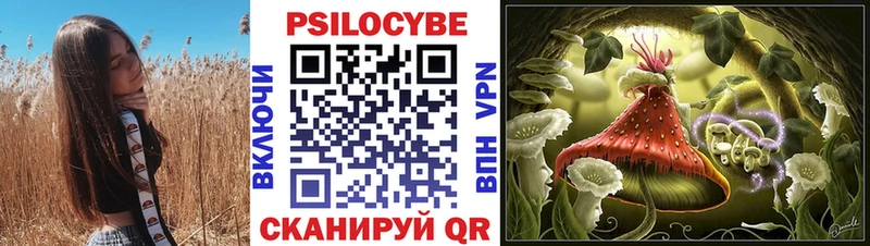 наркота  Пикалёво  Галлюциногенные грибы Psilocybine cubensis 